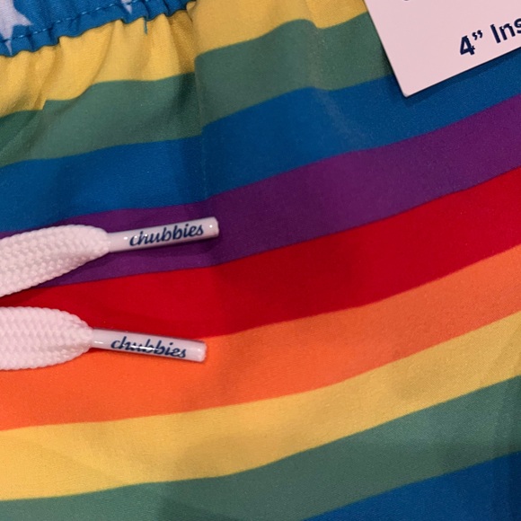 Chubbies Rainbow Stripes Swim Trunks - Picture 3 of 7